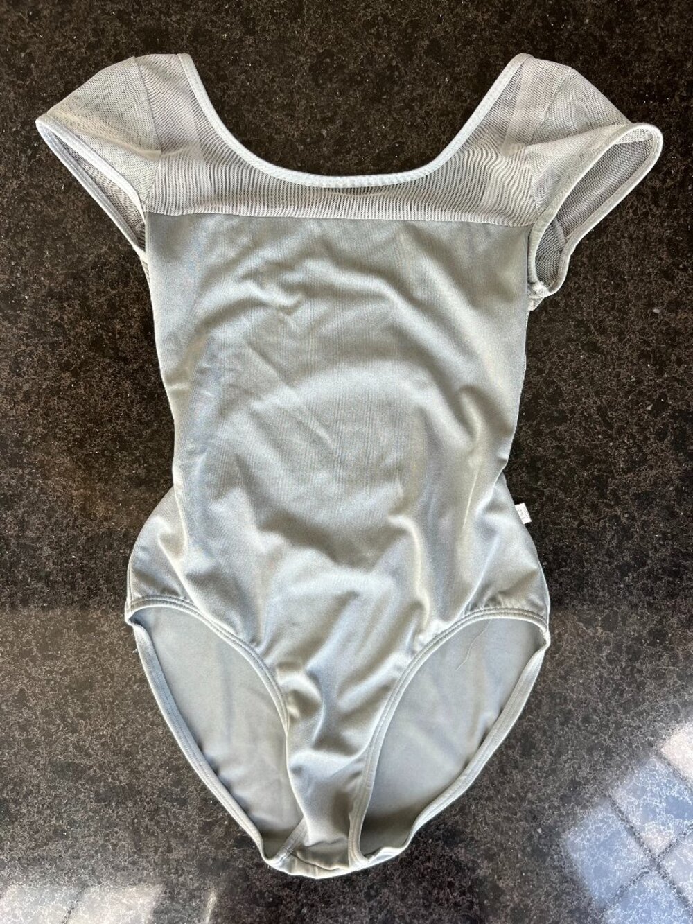 Class In Cap Sleeve Gray Adult Small Leotard